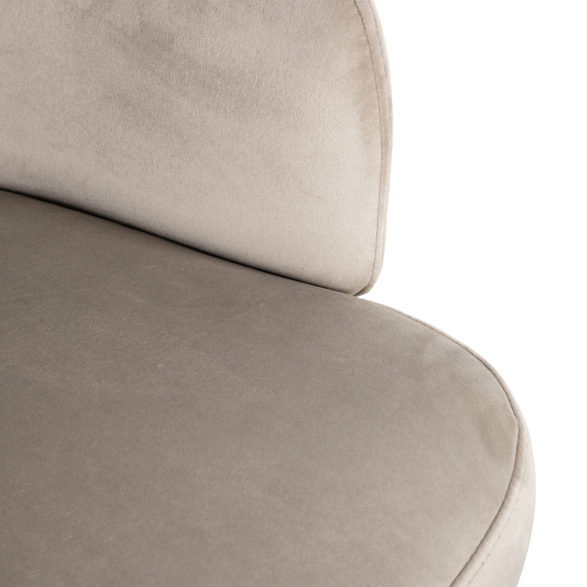 Richmond Möbel Esszimmerstuhl Amphara Feuerresistent khaki velvet | 211693
