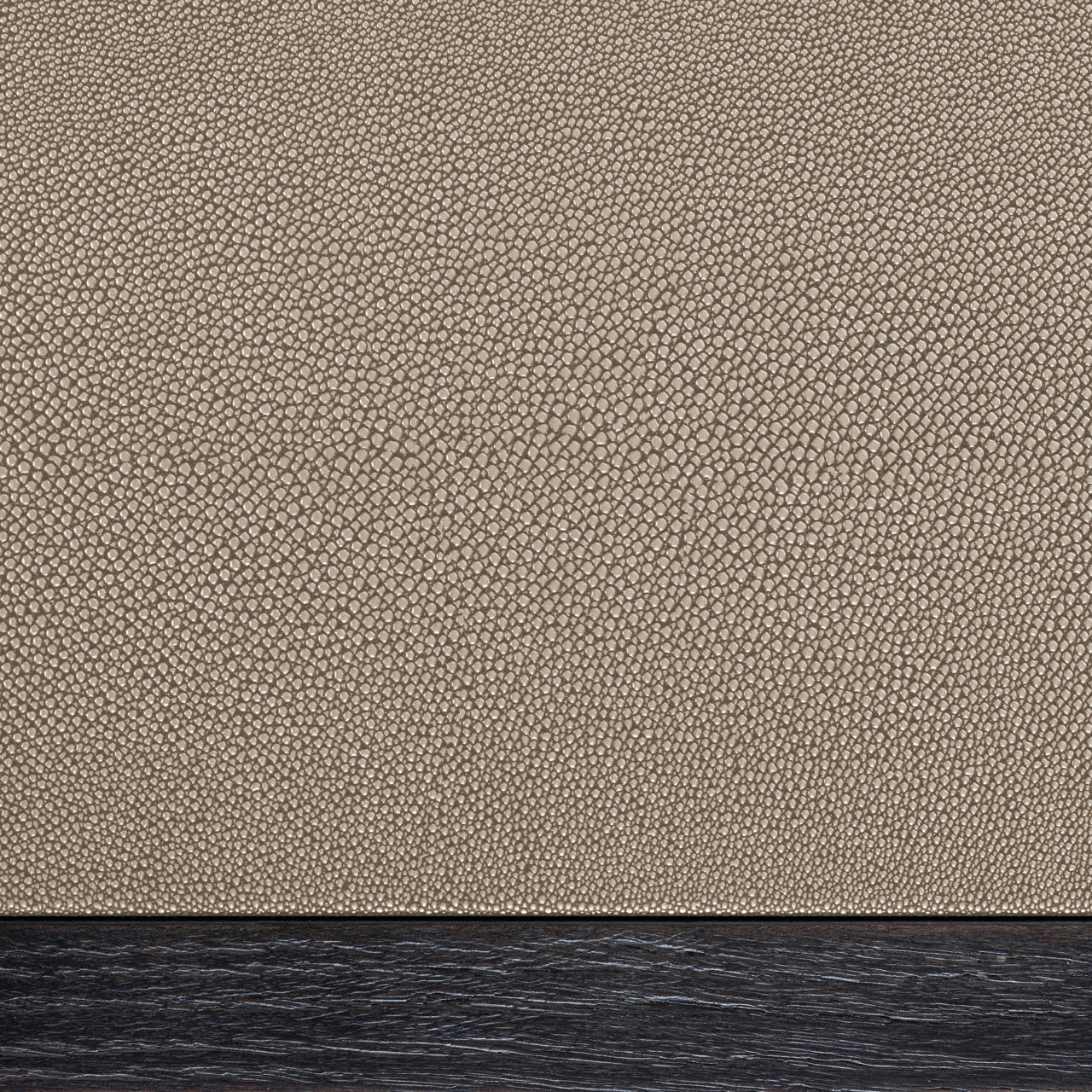 Richmond Möbel | Konsole Bloomville | Brass-shagreen