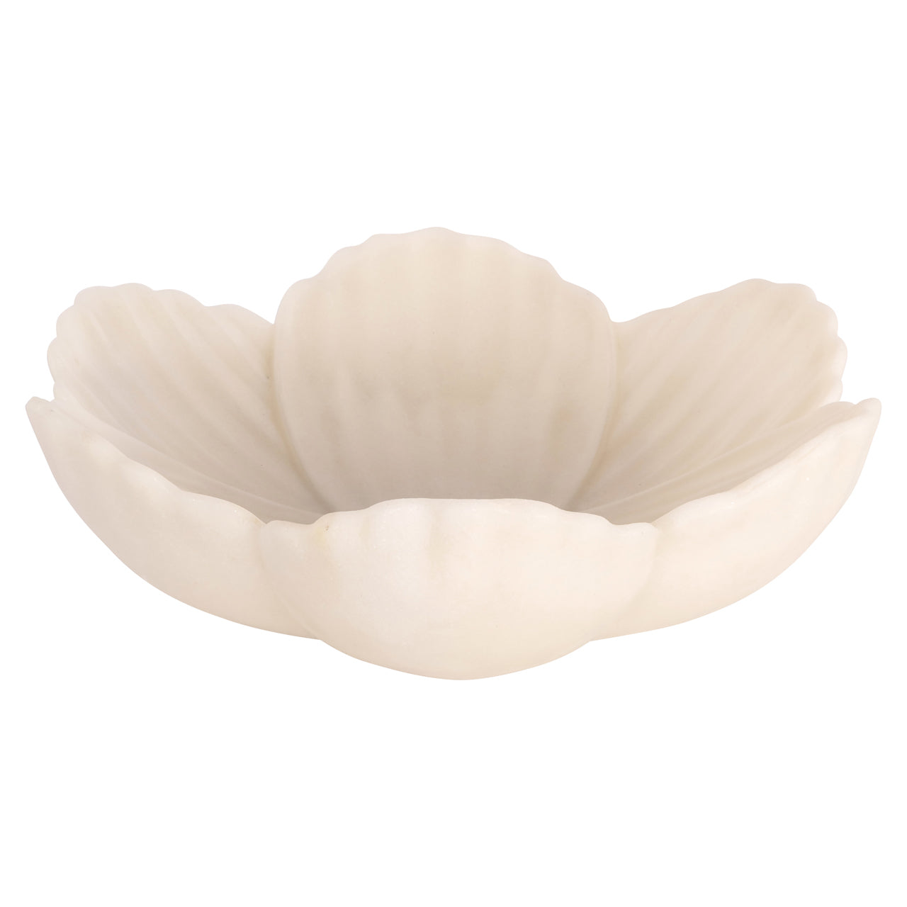 Schale Xena S