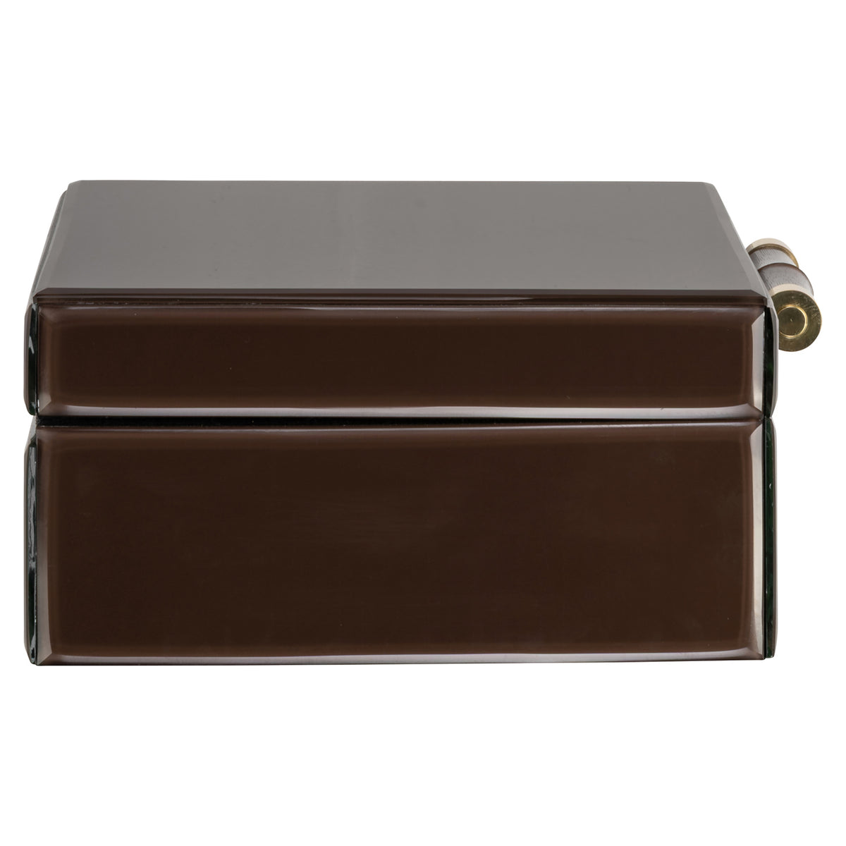 Richmond Möbel Aufbewahrungsbox Echo dark brown | 215829