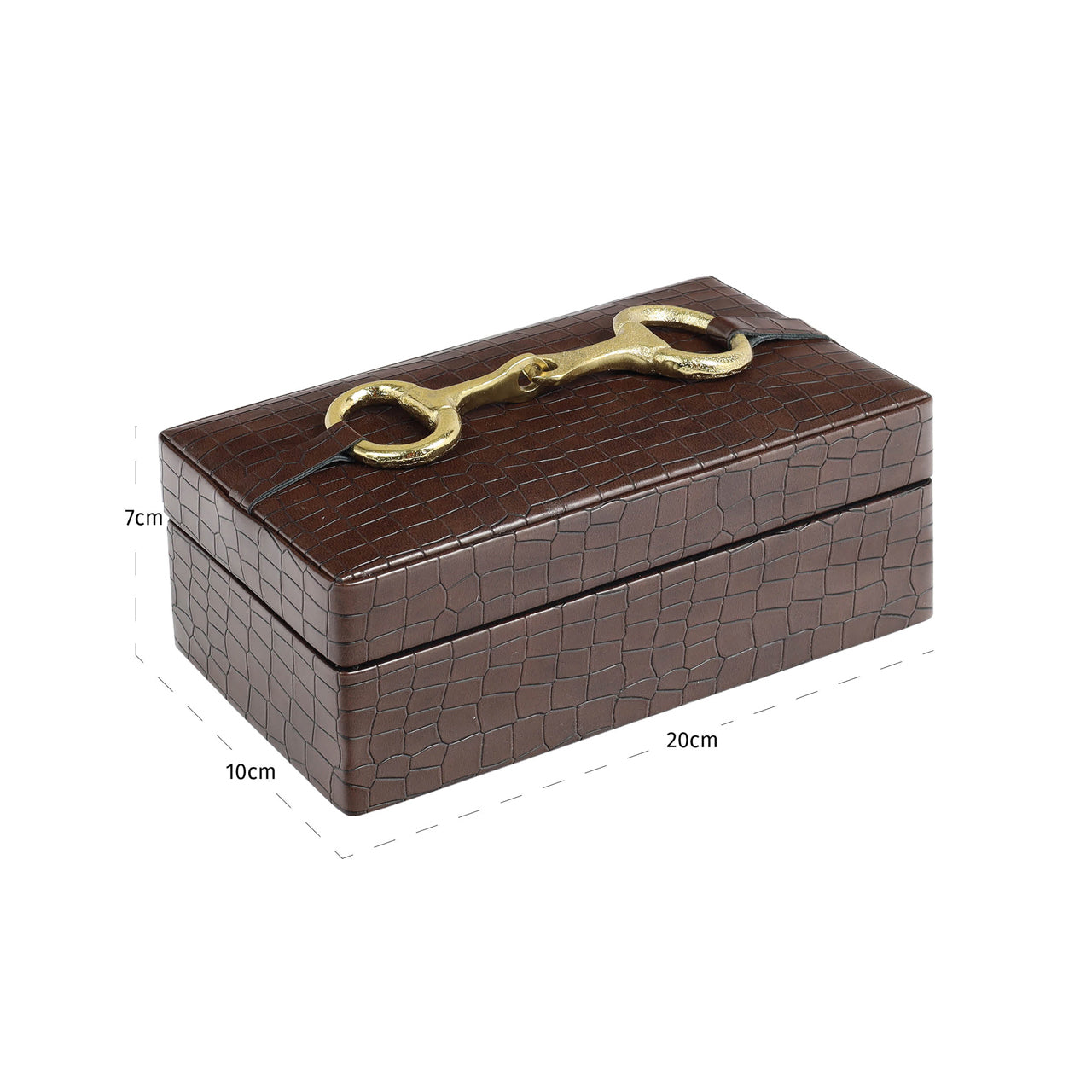 Aufbewahrungsbox Rex
