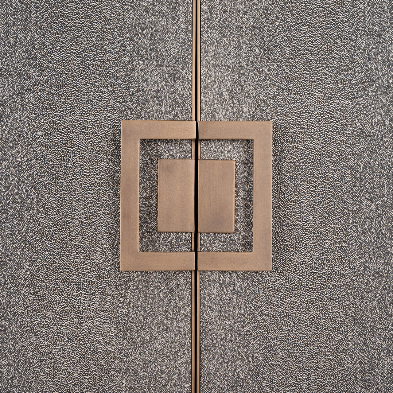 Richmond Möbel | Schrank Bloomville | Brass-shagreen