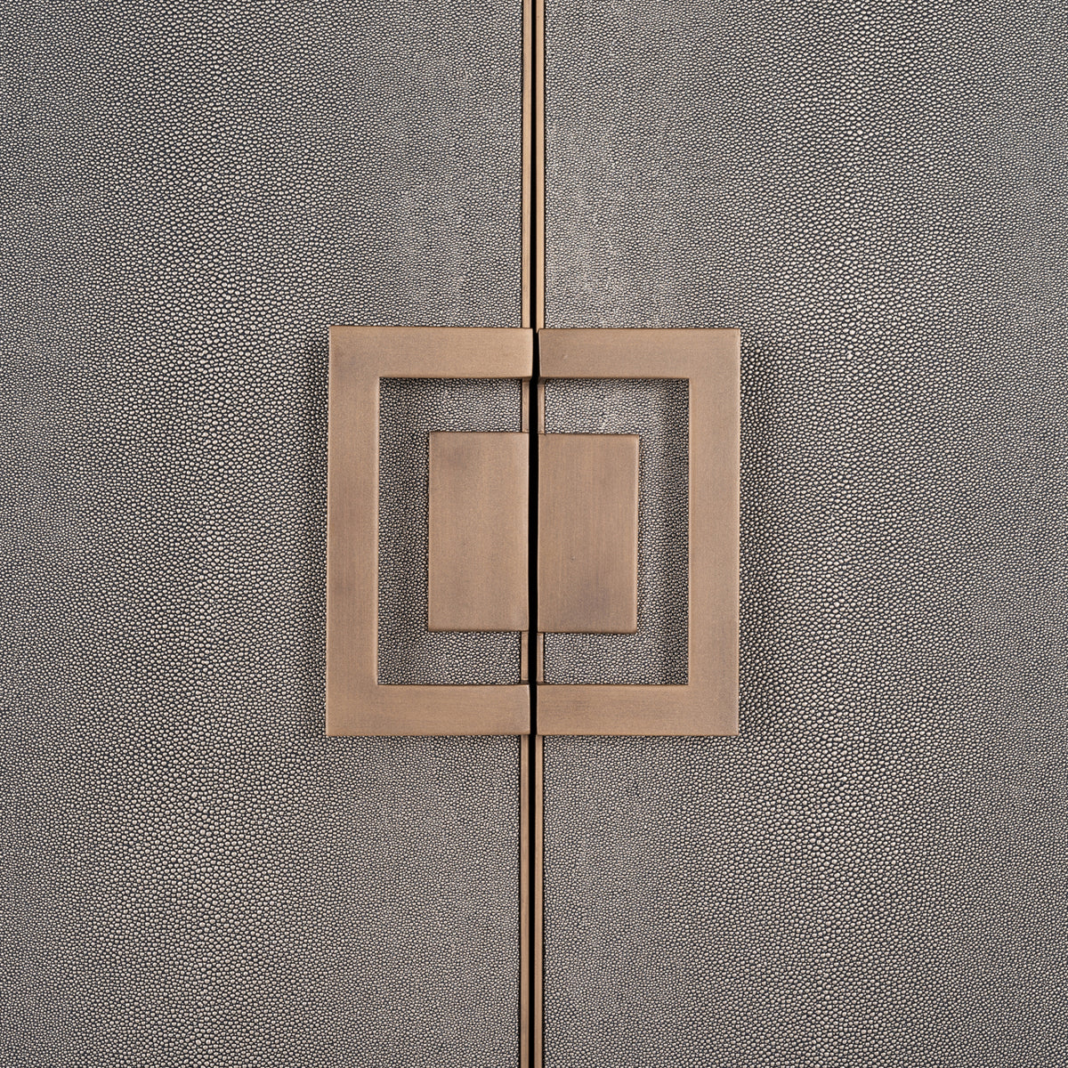 Richmond Möbel Schrank Bloomville brass shagreen | 210471