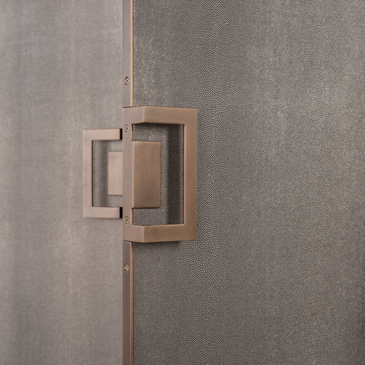 Richmond Möbel Schrank Bloomville brass shagreen | 210471