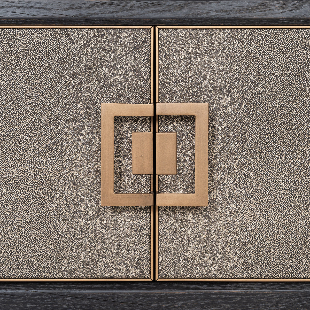 Richmond Möbel | TV-Schrank Bloomville | Brass-shagreen