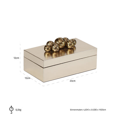 Richmond Möbel | Aufbewahrungsbox Norah | Gold