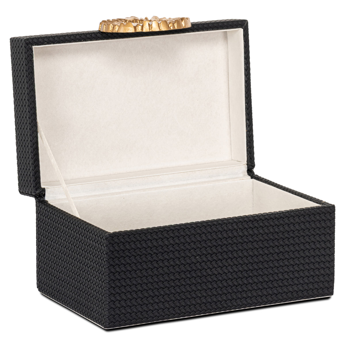 Richmond Möbel Aufbewahrungsbox Amal black/gold | 213536