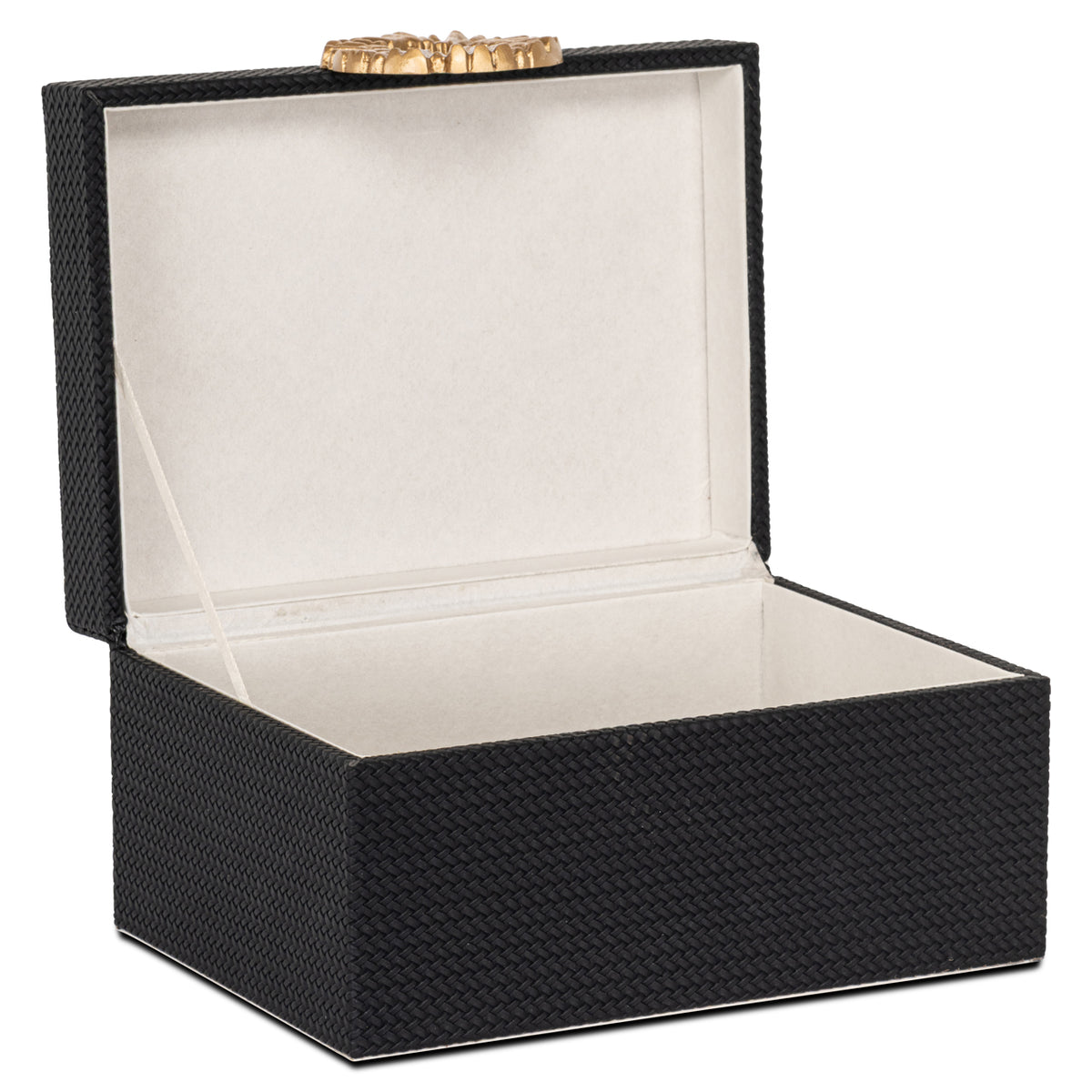 Richmond Möbel Aufbewahrungsbox Amal black/gold | 213537