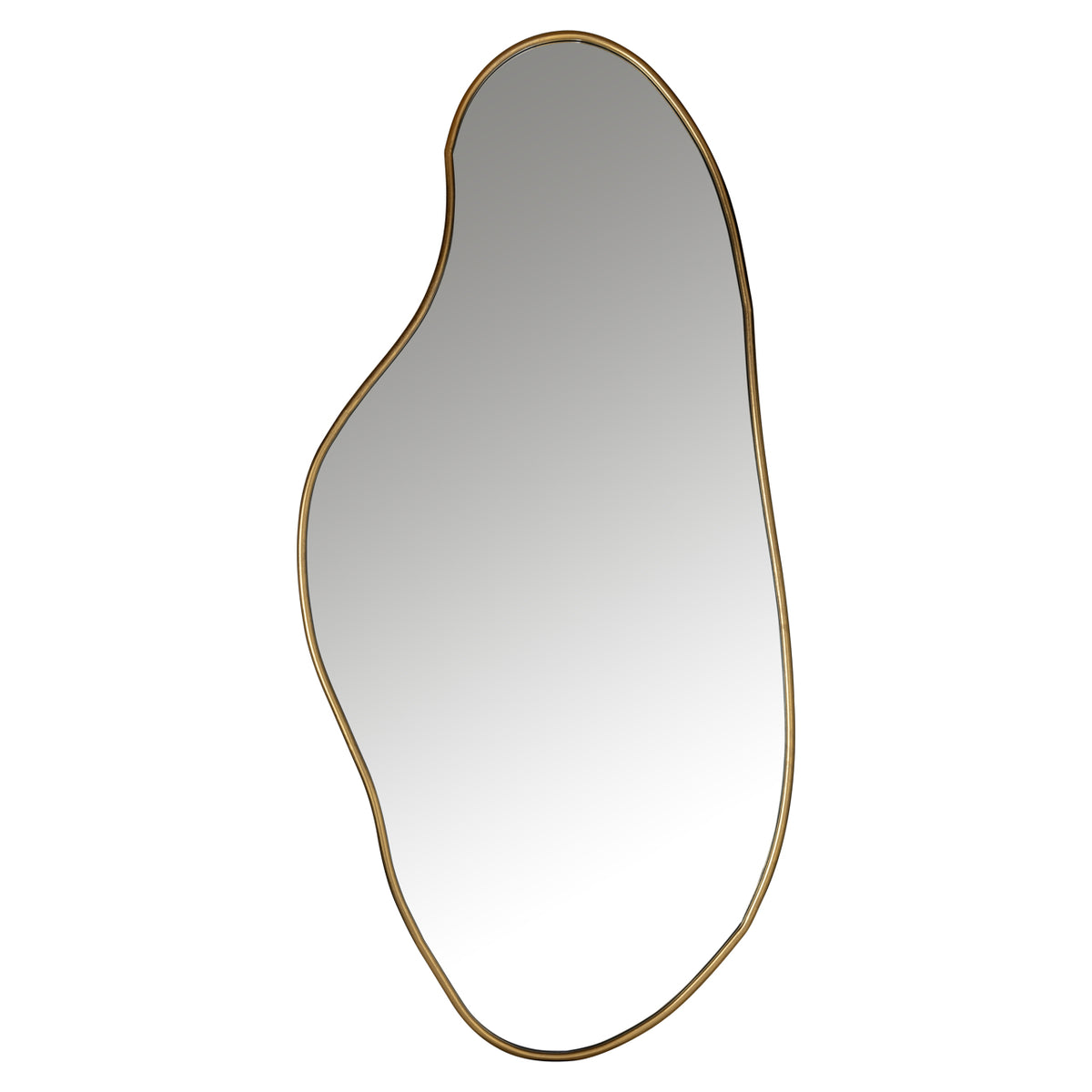 Richmond Möbel Spiegel Alton brushed gold | 211207