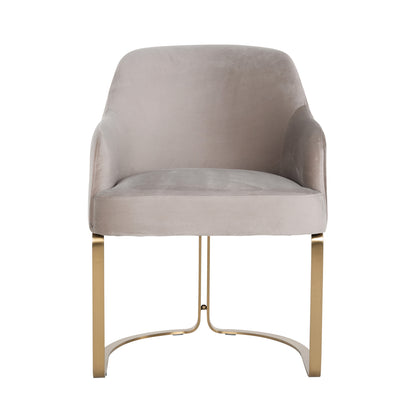 Richmond Möbel Esszimmerstuhl Hadley Feuerresistent khaki velvet | 211583