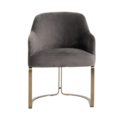 Richmond Möbel Esszimmerstuhl Hadley stone velvet | 210457