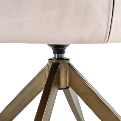 Richmond Möbel | Esszimmerstuhl Aline drehbar Feuerresistent | Khaki-velvet