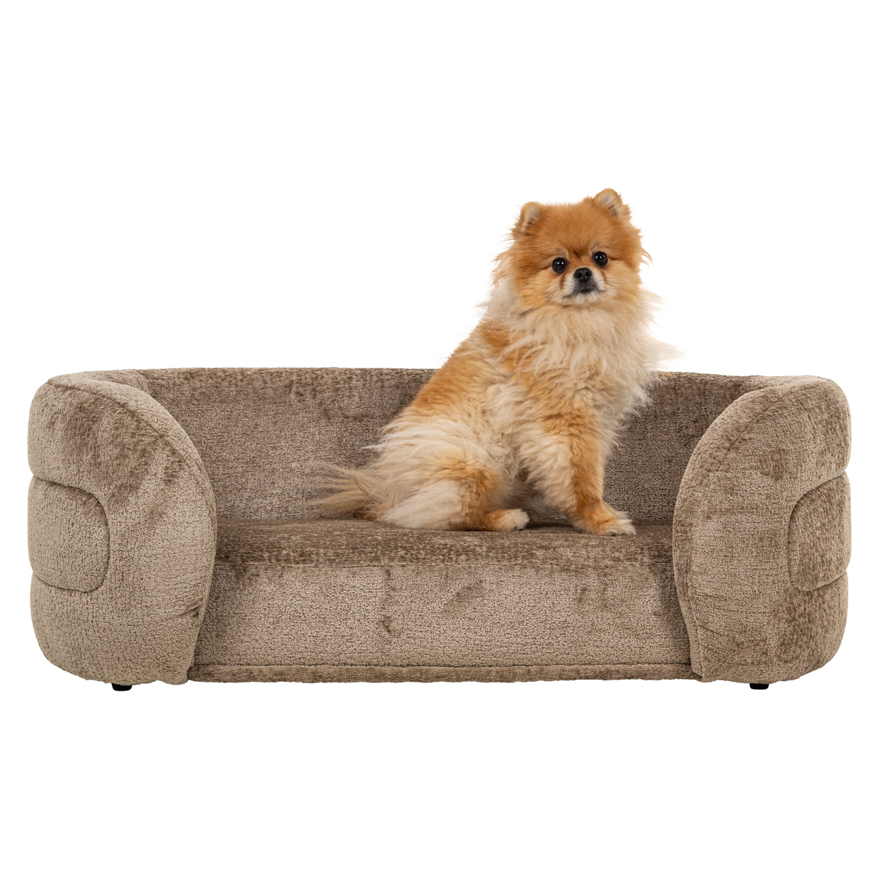 Richmond Möbel | Hundebett Bingo | Clay-chenille