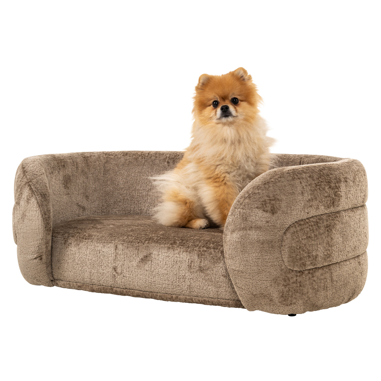 Richmond Möbel | Hundebett Bingo | Clay-chenille
