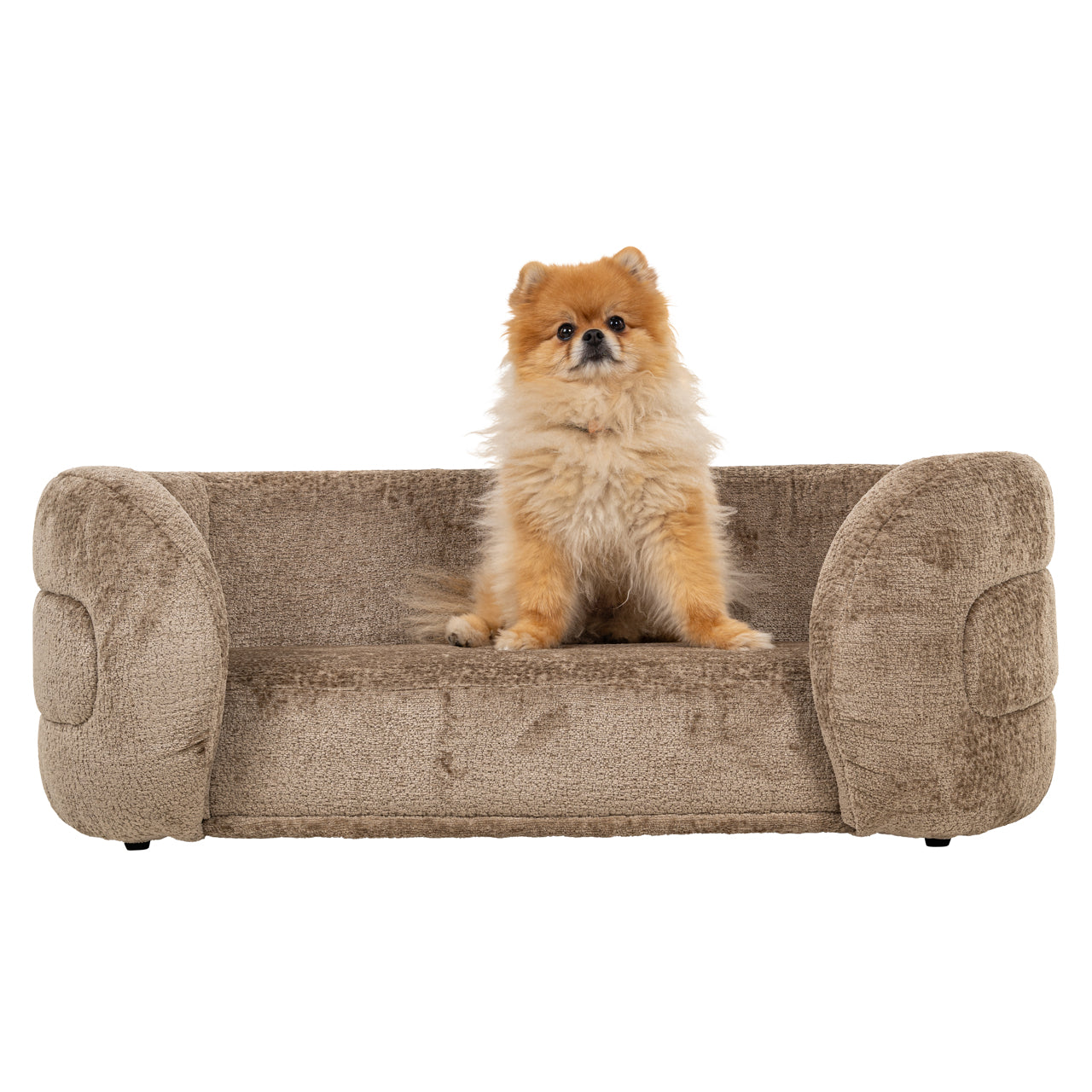 Richmond Möbel | Hundebett Bingo | Clay-chenille