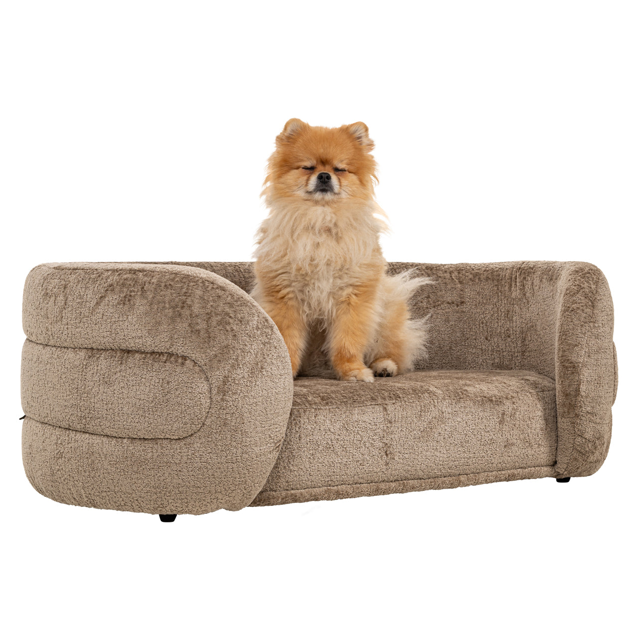 Richmond Möbel | Hundebett Bingo | Clay-chenille